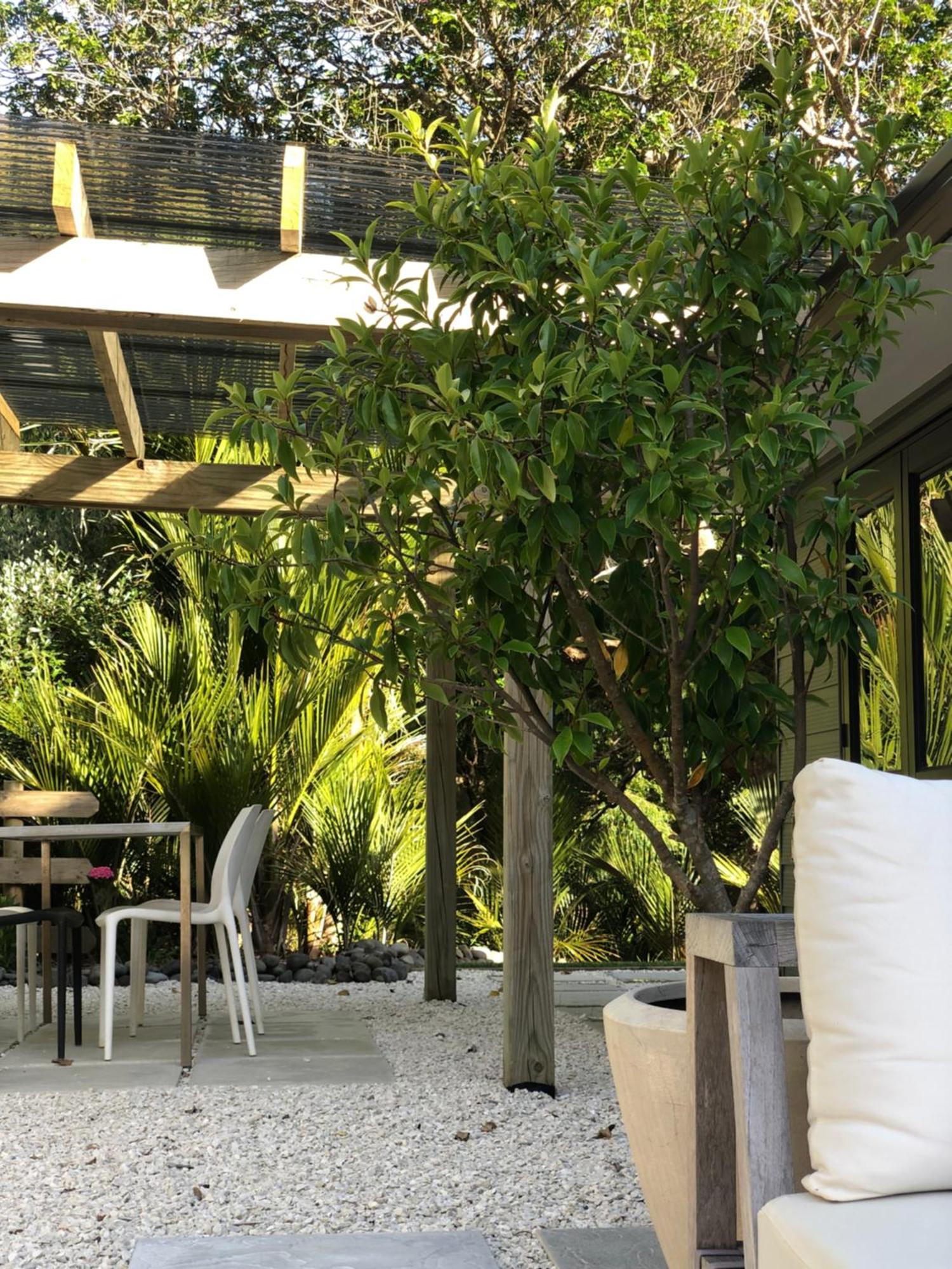 Villetta - Matakana Boutique Luxury Accommodation エクステリア 写真
