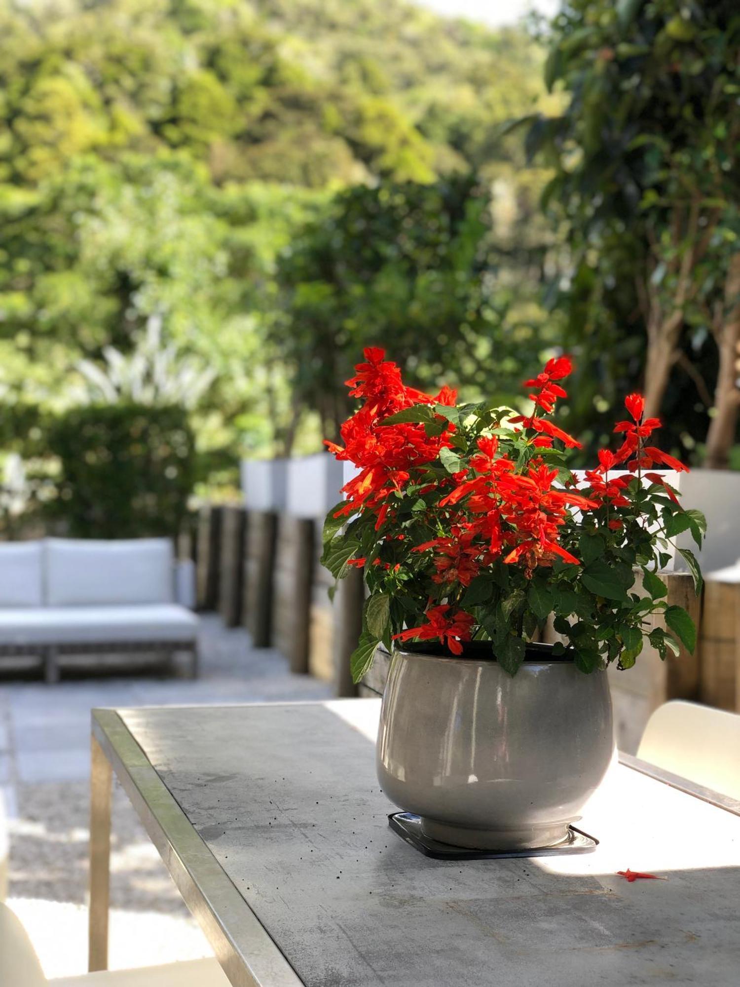 Villetta - Matakana Boutique Luxury Accommodation エクステリア 写真